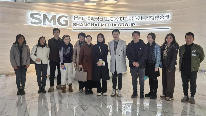 品牌全案策划设计：规格参数解析与选型逻辑